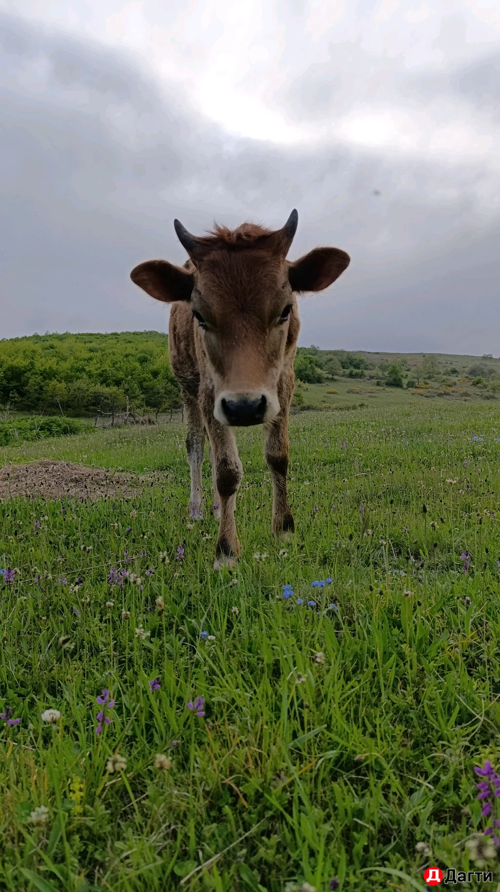 Ремонт стиральных машин автомат,и полуавтомат
