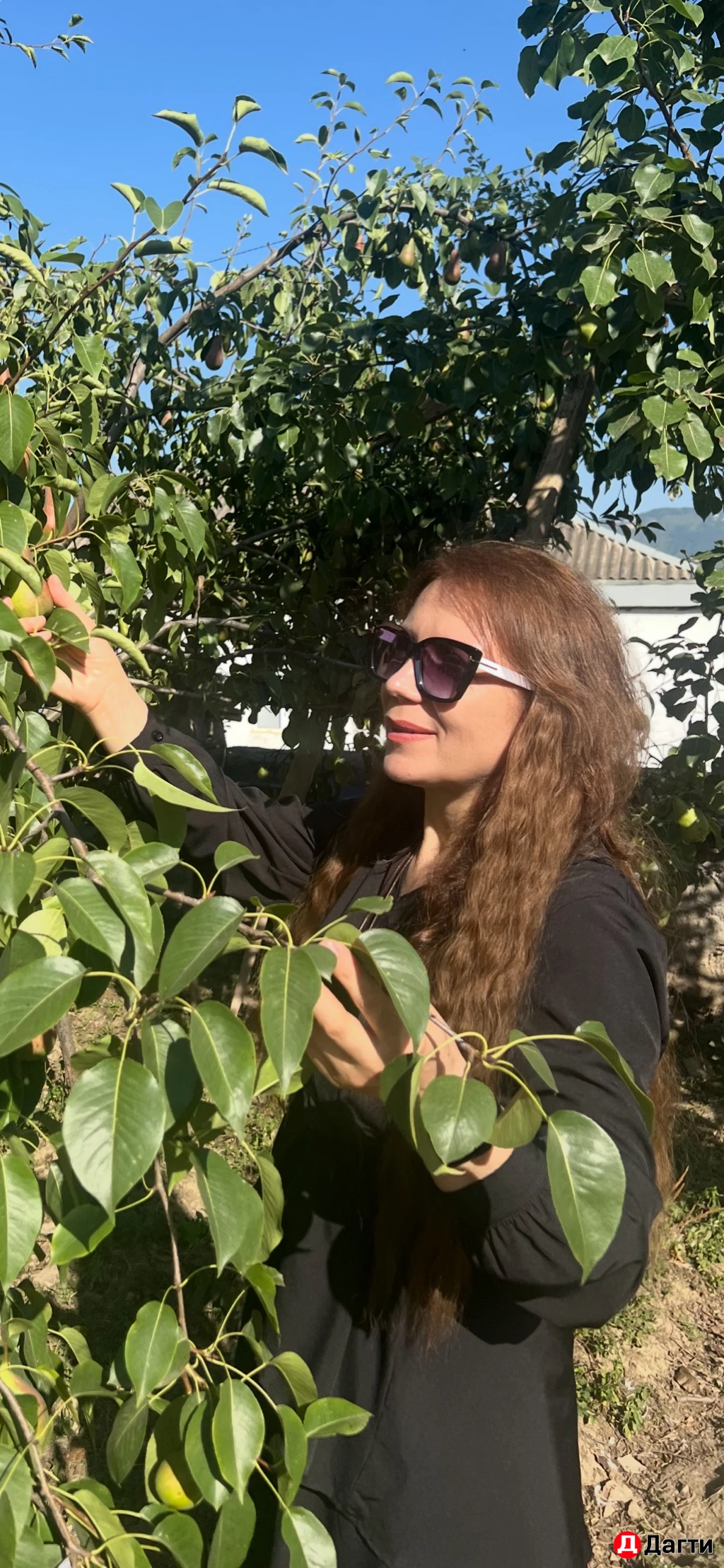 Трансформационный коуч