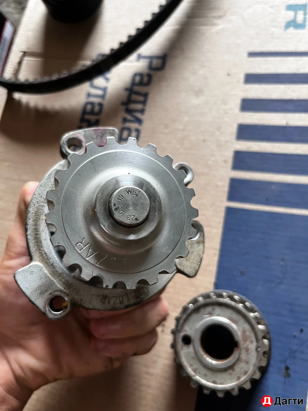 Ремень комплект на гранту