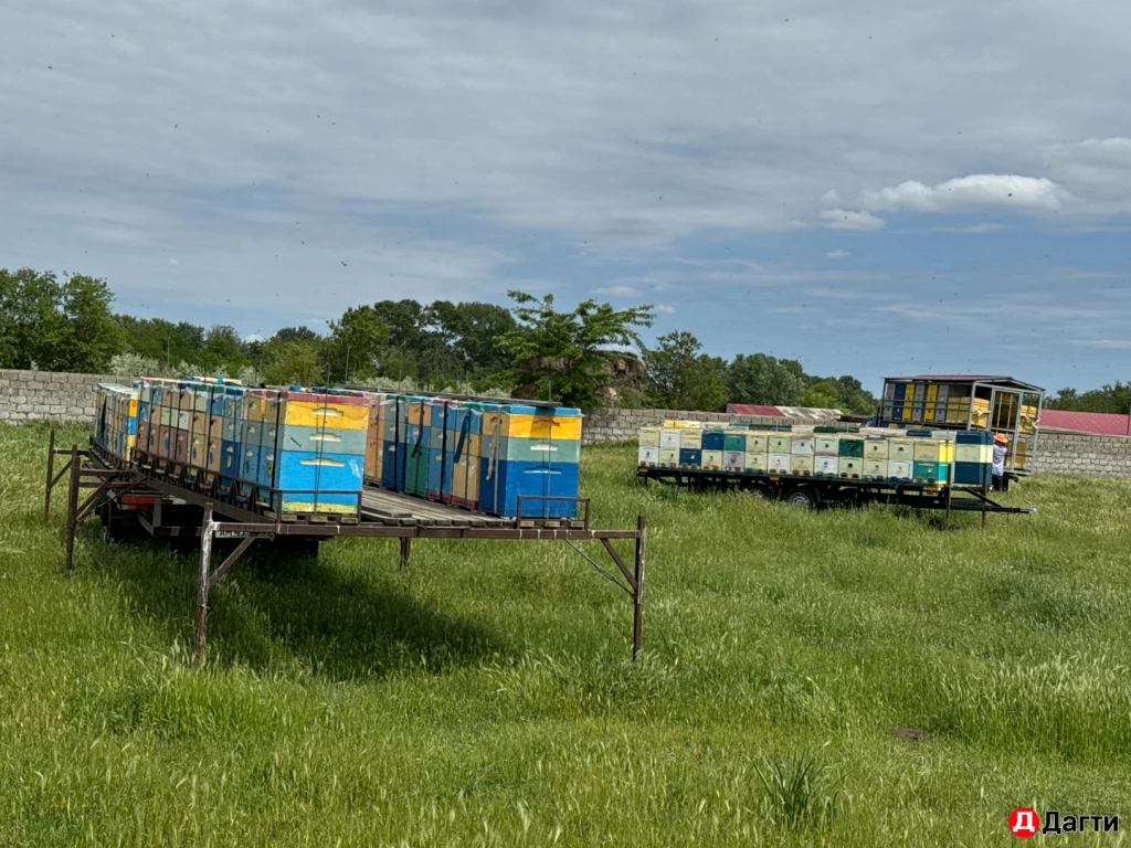 НАТУРАЛЬНЫЙ ЭКО МЁД