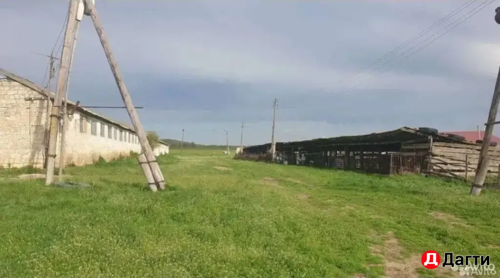 Готовый бизнес ферма кашара