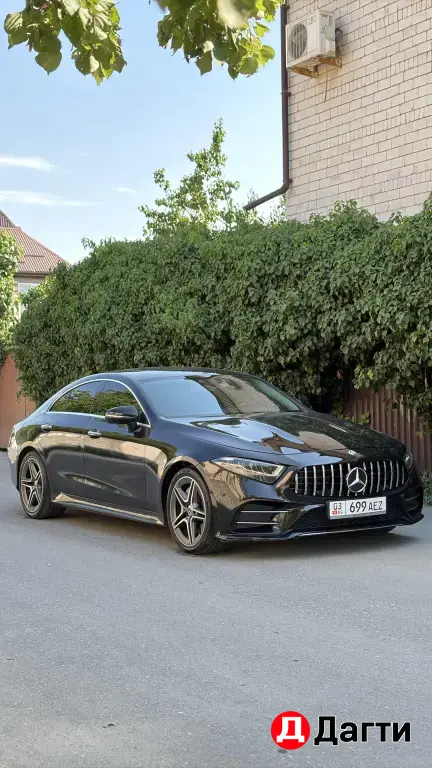 Mercedes-Benz CLS, 2019 года
