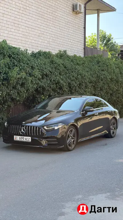 Mercedes-Benz CLS, 2019 года