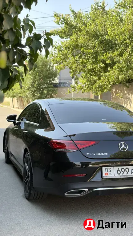 Mercedes-Benz CLS, 2019 года