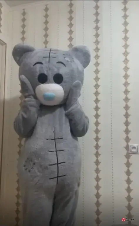 Аниматор. Прокат костюмов ростовых кукол.