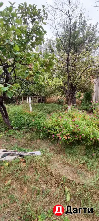 Продается дом с участком