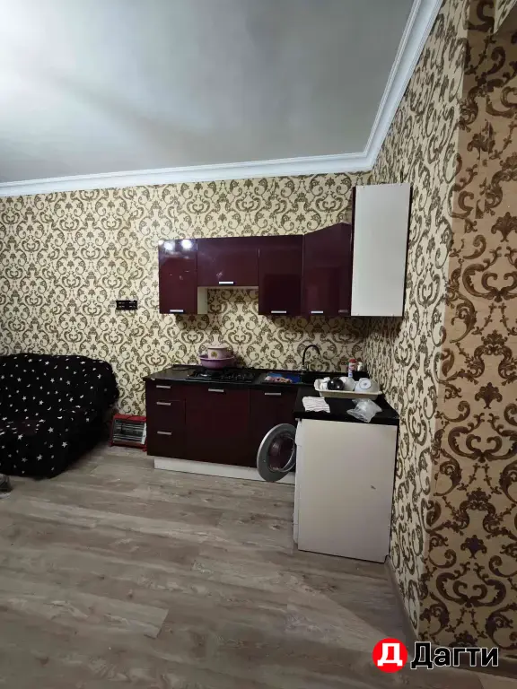 сдам студию 37 квадратов