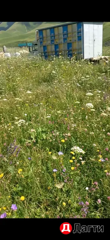 ЗИЛ 111, 2001 года