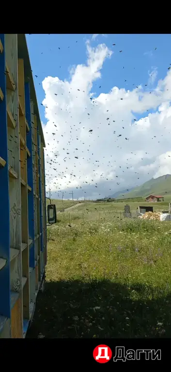 ЗИЛ 111, 2001 года