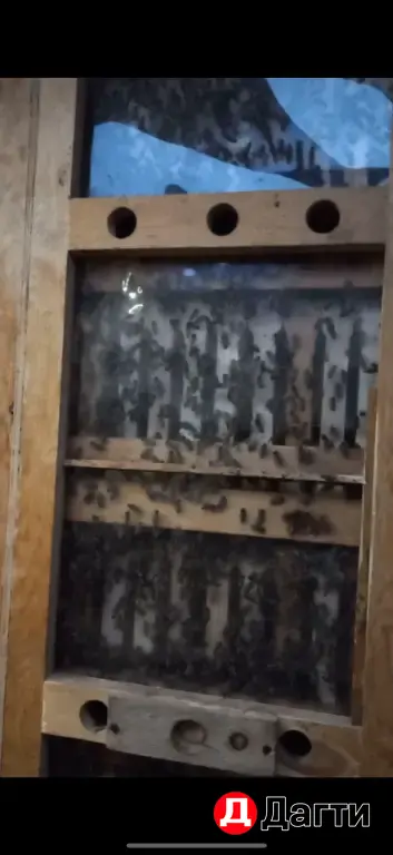 ЗИЛ 111, 2001 года