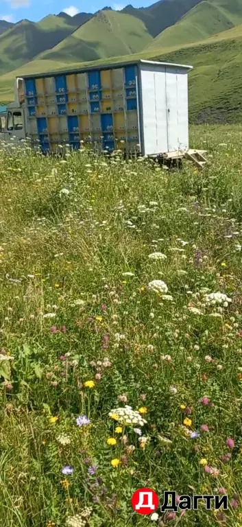 ЗИЛ 111, 2001 года