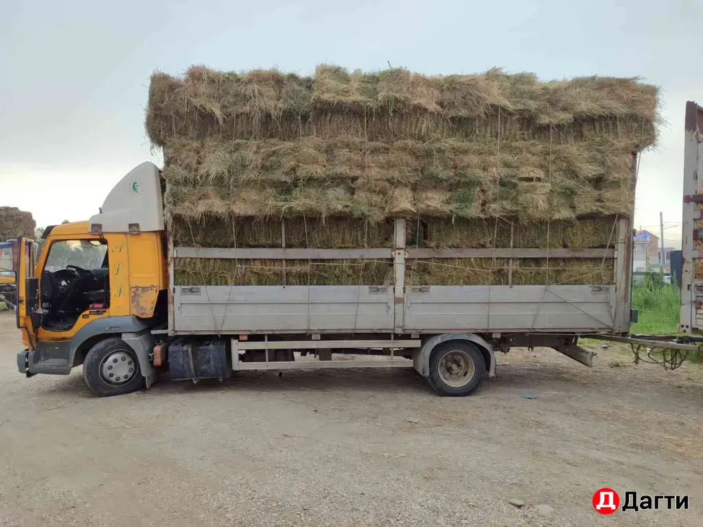 IVECO Fidato, 2008 года