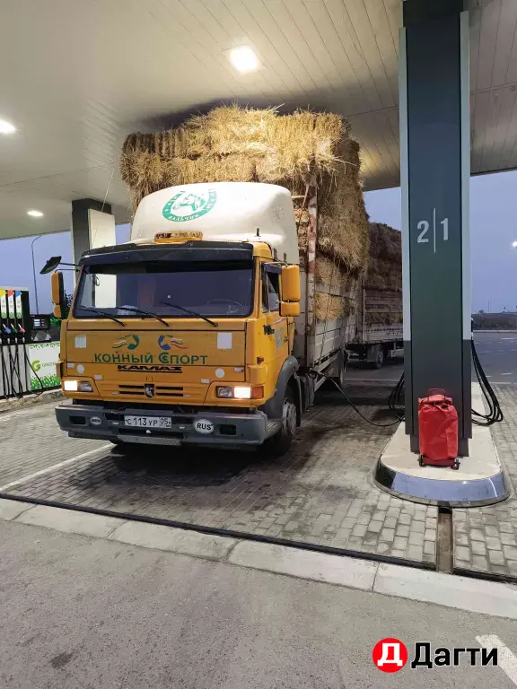 IVECO Fidato, 2008 года