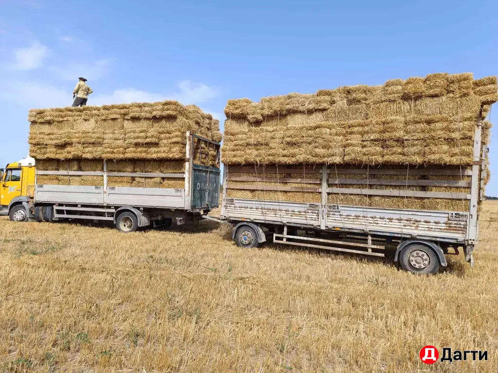 IVECO Fidato, 2008 года