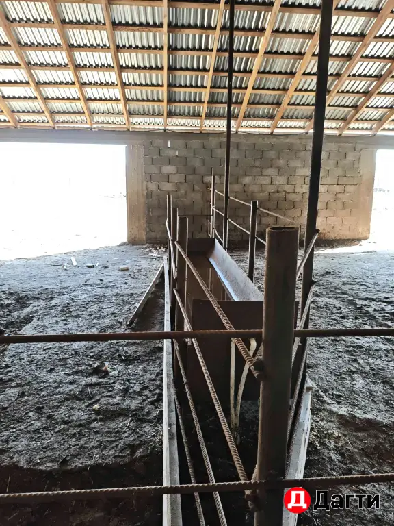 животноводческая ферма