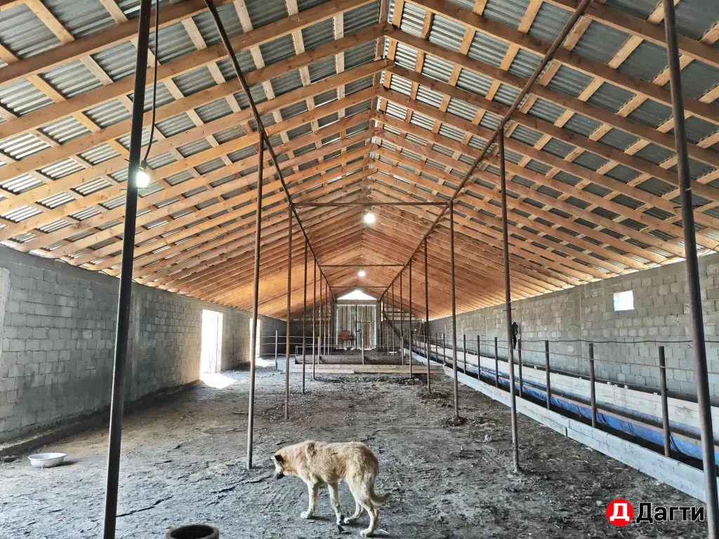 животноводческая ферма