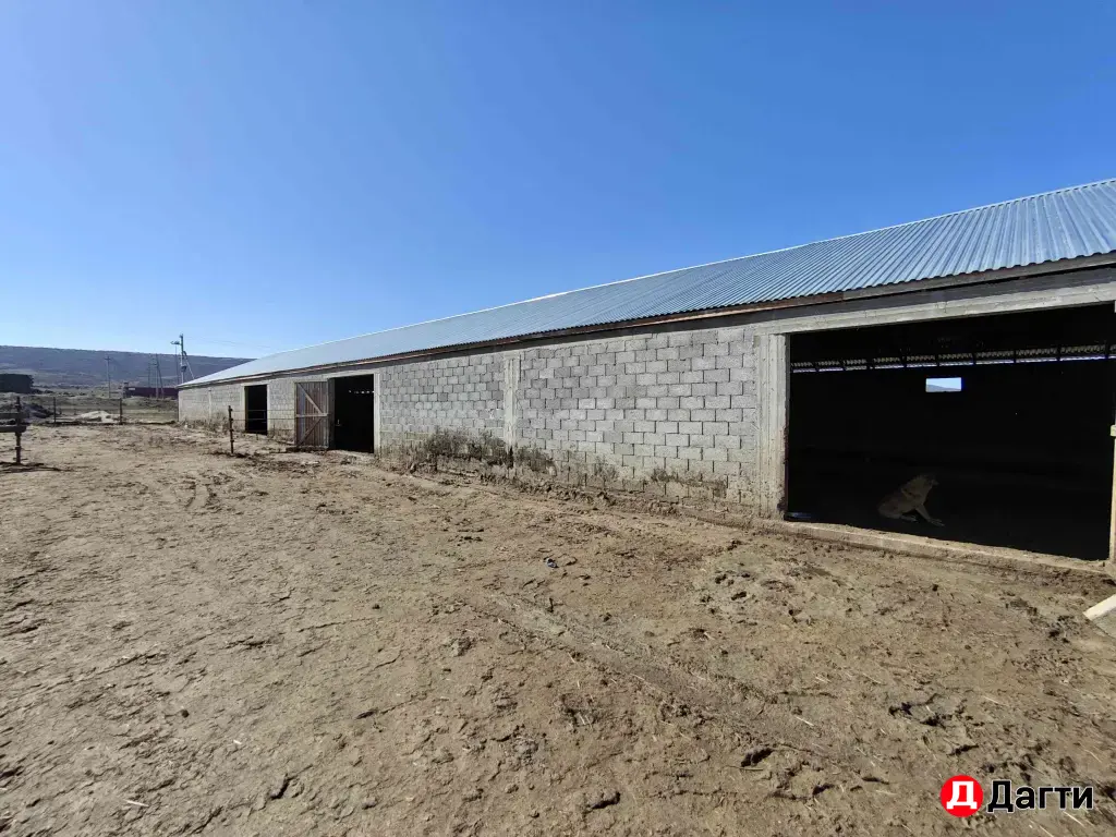 животноводческая ферма