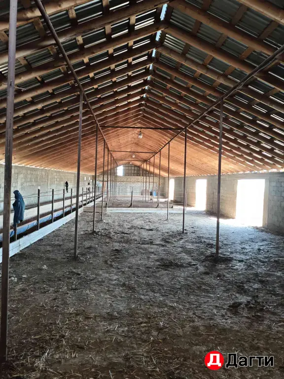 животноводческая ферма