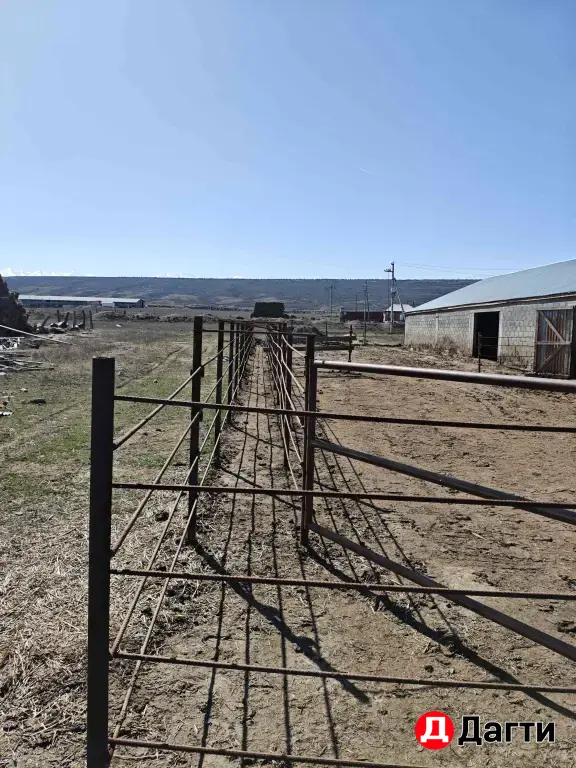 животноводческая ферма