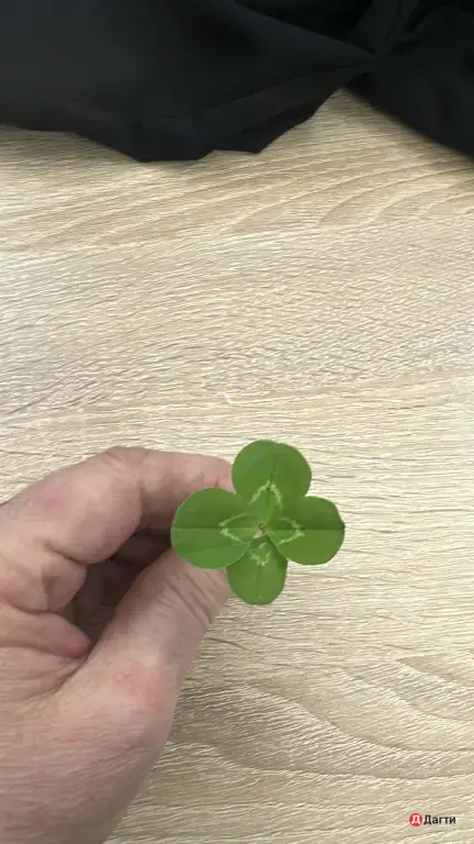 установка ламината. поклей-ка обоев.